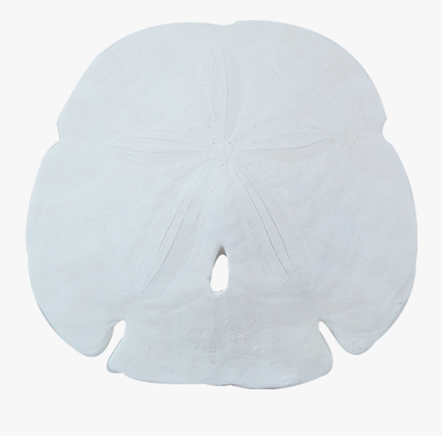 Sand-dollar - Transparent Background Sand Dollar Png, Transparent Clipart
