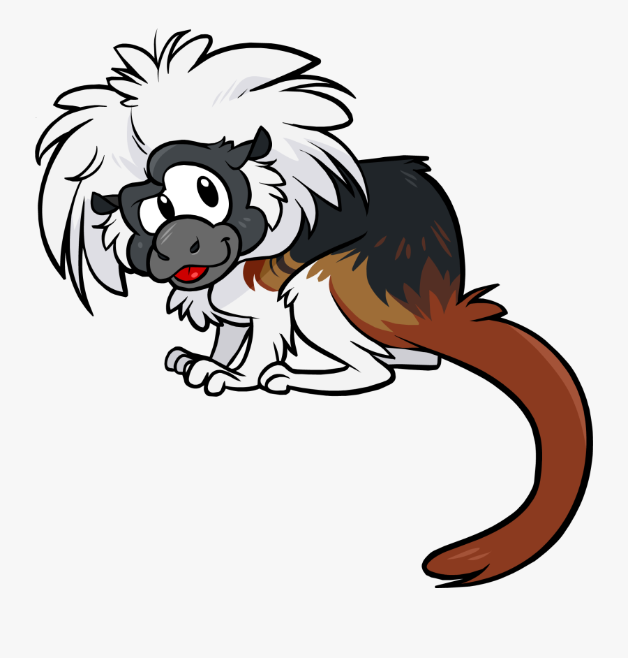 Cottontoptamarin2 - Cotton Top Tamarin Cartoon, Transparent Clipart