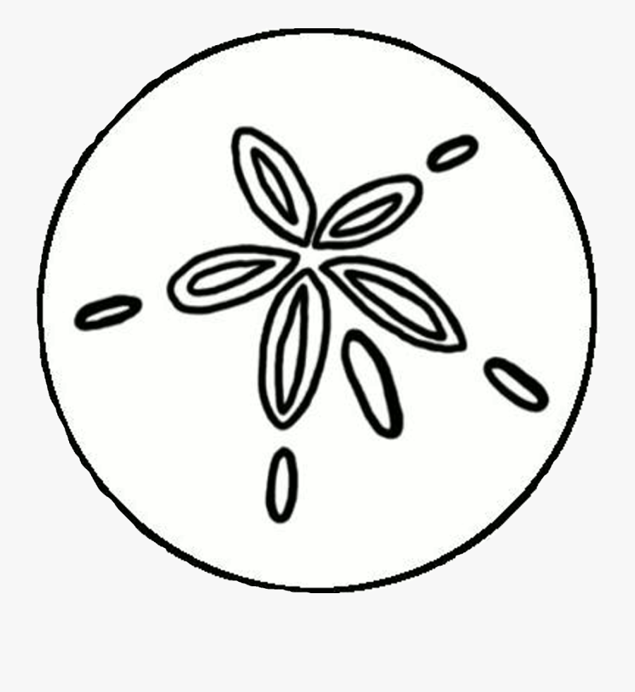 Draw A Sand Dollar, Transparent Clipart