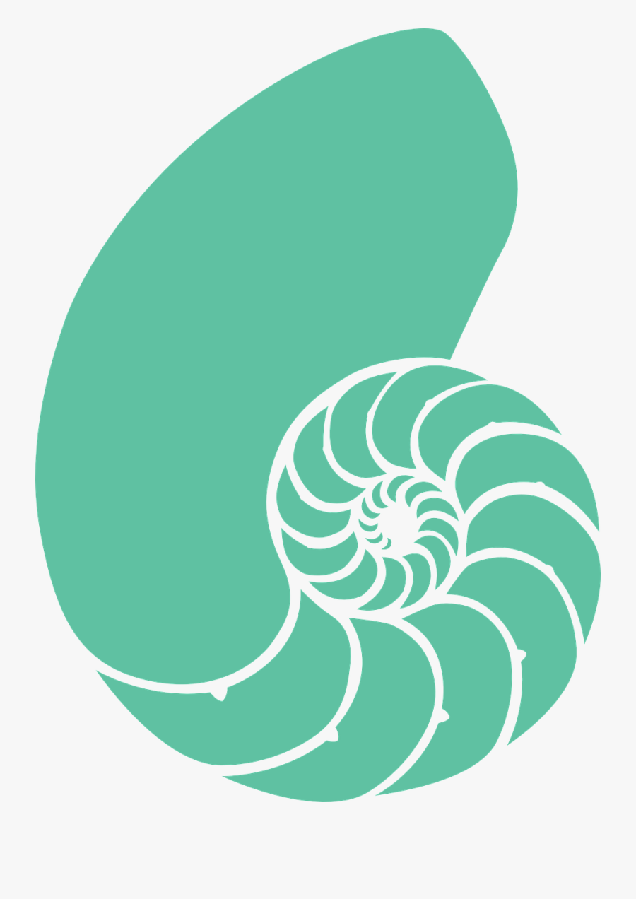 Sand Dollar Shop Of - Cartoon Seashell Transparent Background, Transparent Clipart