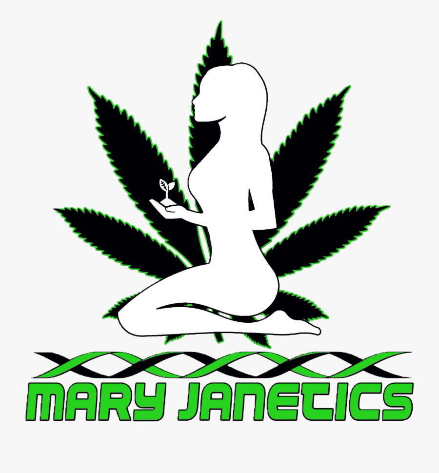 Marijuana Leaf, Transparent Clipart