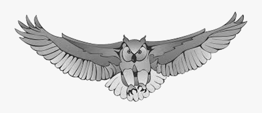 Great Horned Owl Harry Potter Drawing Clip Art - Owl Flying Clip Art, Transparent Clipart