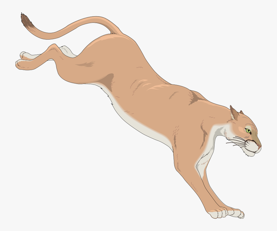 Transparent Cougar Clip Art - Cougar Clip Art, Transparent Clipart