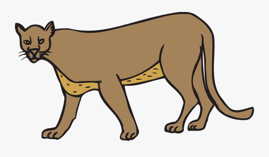 Cat Walking Animal Cougar Panther Wildlife Feline - Clipart Cougar, Transparent Clipart