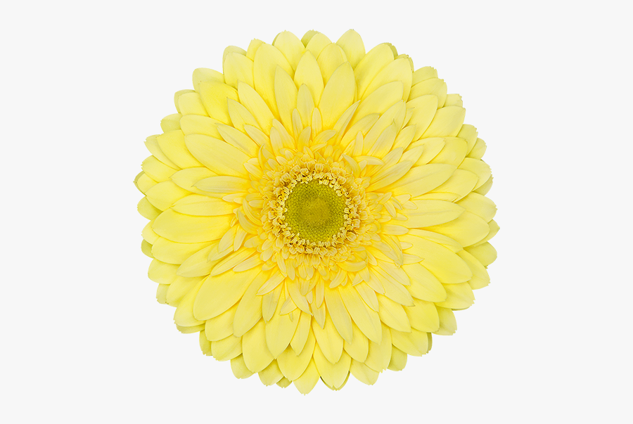 Yellow Moon Png, Transparent Clipart