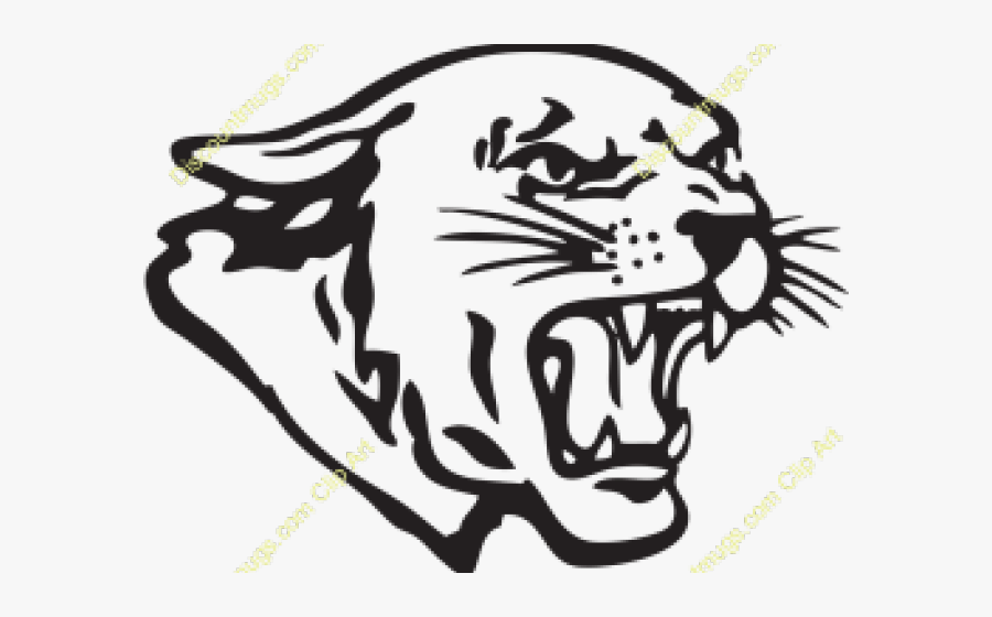 Drawn Cougar Clip Art - Clifton Middle School Logo, Transparent Clipart