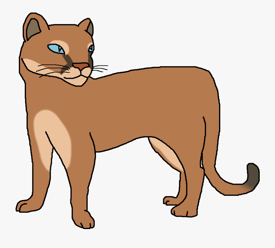 Eastern South American Cougar - Cartoon, Transparent Clipart
