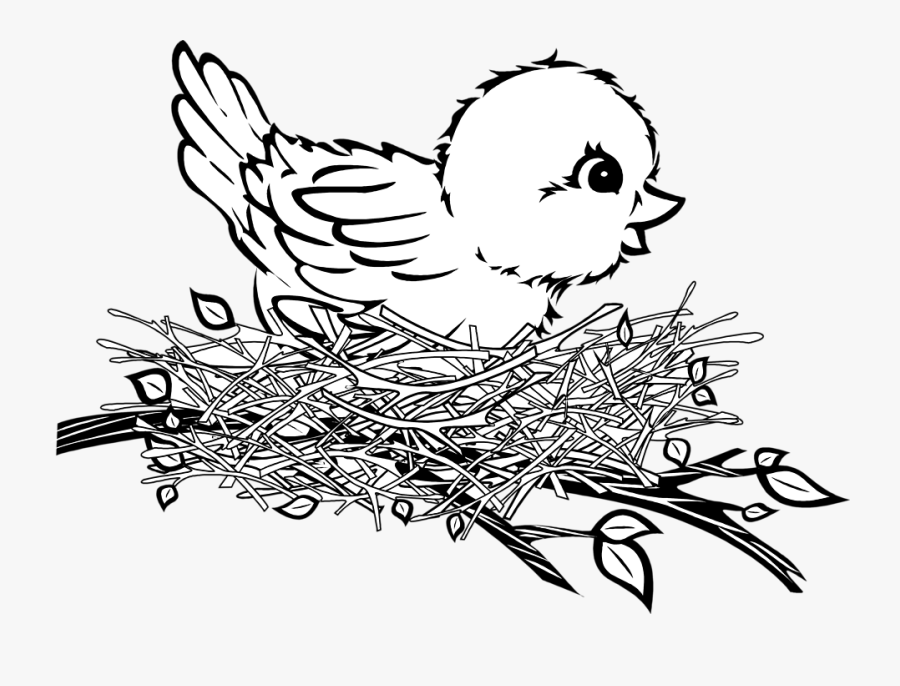Clip Art Bird Nest Clipart Black And White - Bird In Nest Clipart Black And White, Transparent Clipart