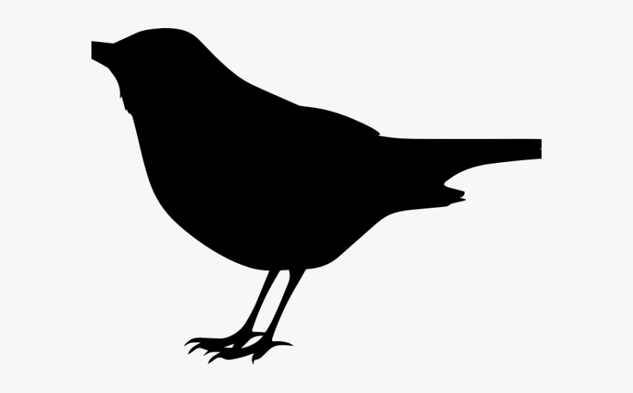 Blackbird Clipart Transparent, Transparent Clipart