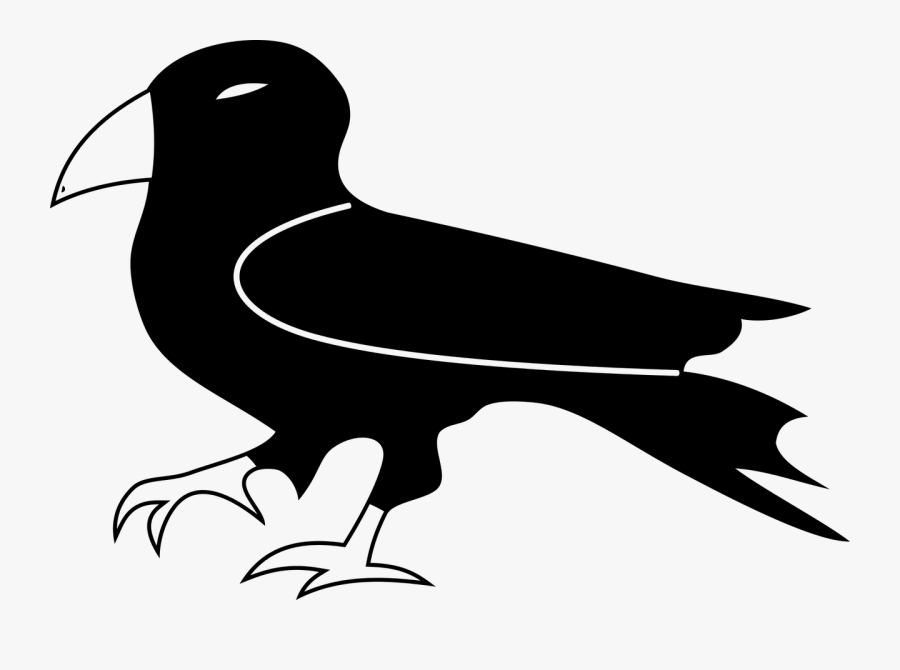 Raven Clipart Raptor Bird - กา Clipart Black And White, Transparent Clipart