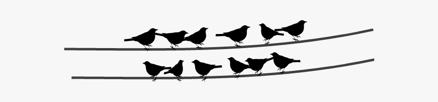 Silhouette Birds On Wire, Transparent Clipart