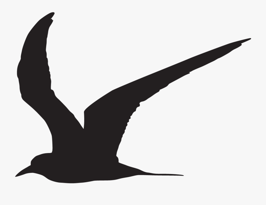Arctic Tern Silhouette, Transparent Clipart