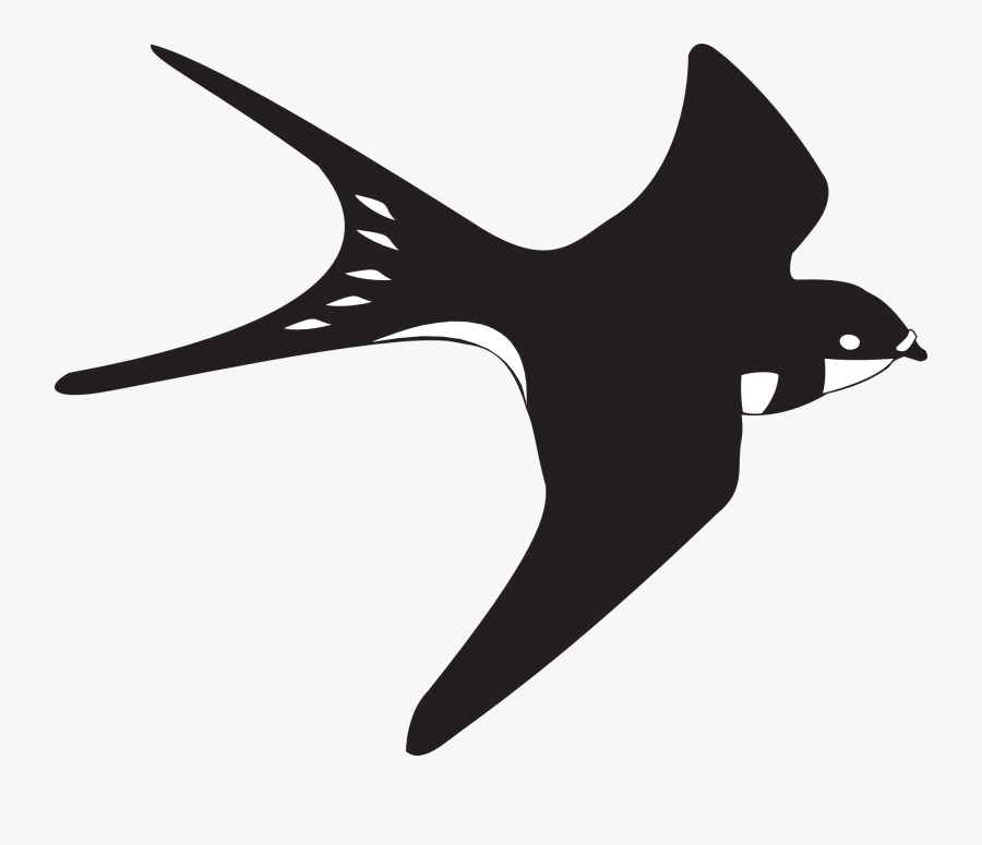 Black White Bird Free Picture - Bird Clipart Black And White, Transparent Clipart