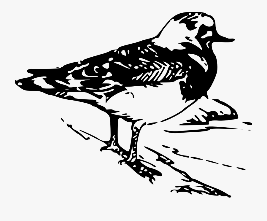 Prediseñadas De Animales, Transparent Clipart