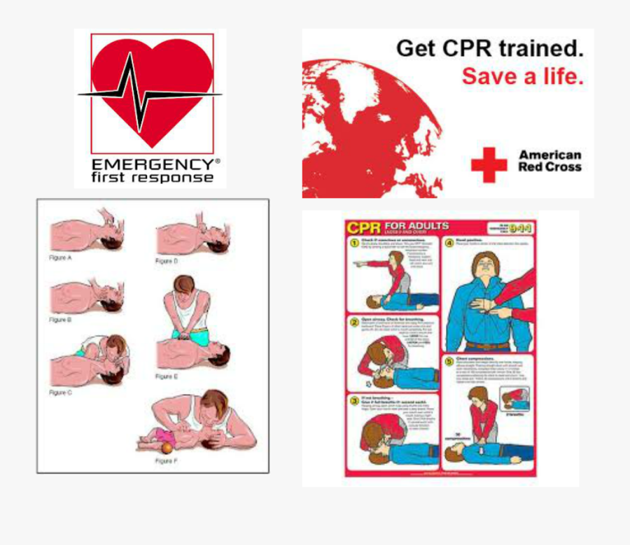 Picture - First Aid Tips For Snake Bites, Transparent Clipart