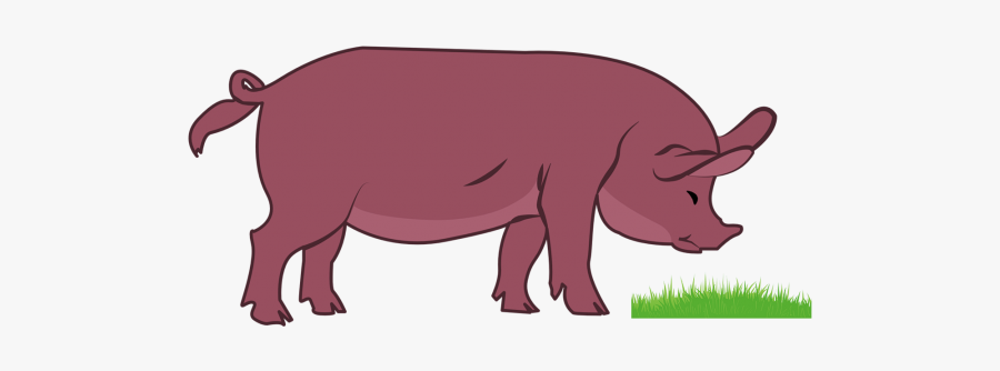 Png Vector Image Download - Transparency, Transparent Clipart