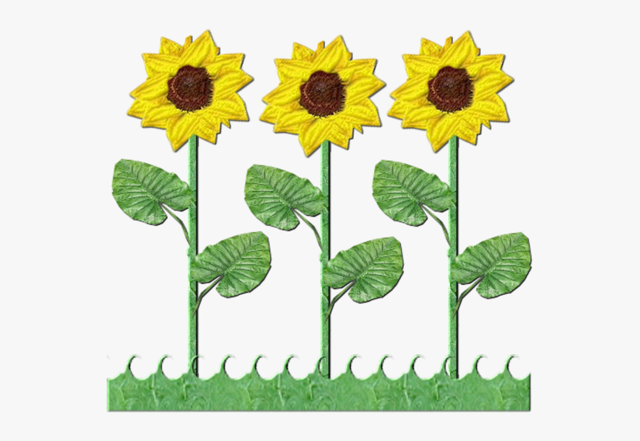 3 Flowers In A Row, Transparent Clipart
