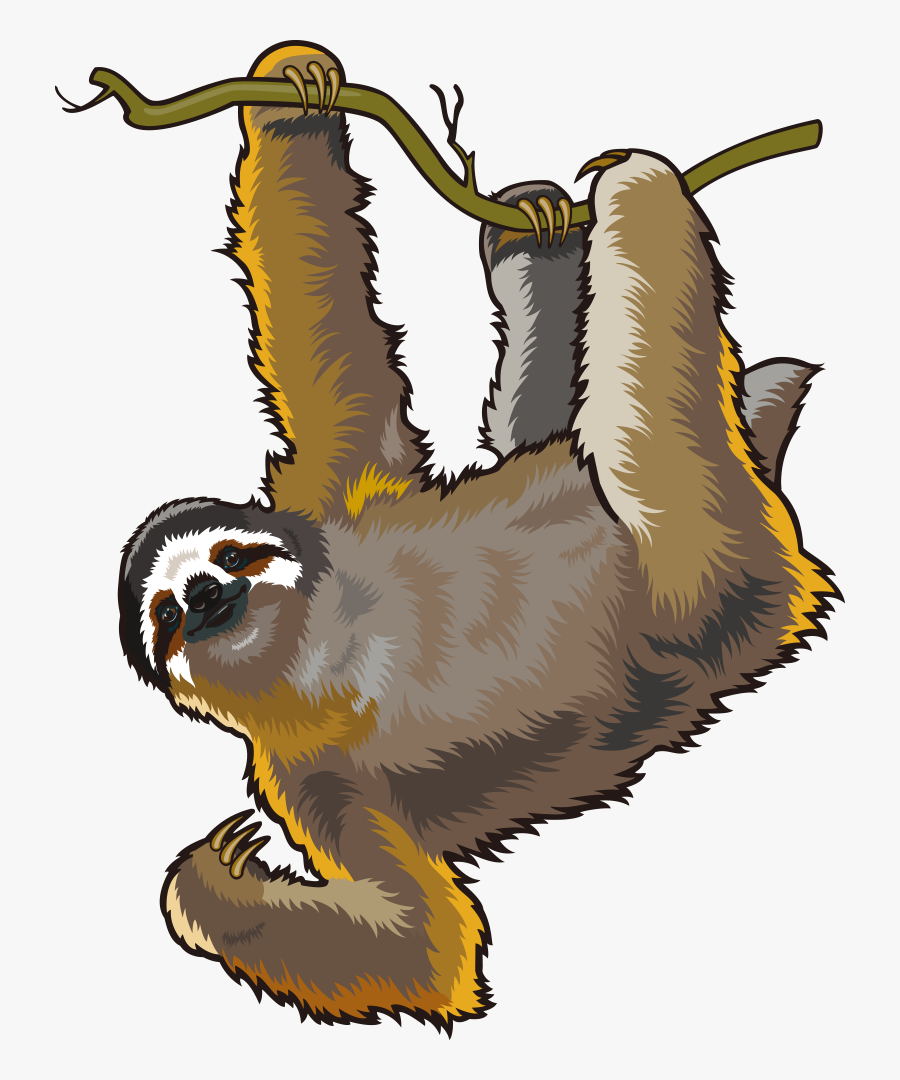 Sloth With No Background, Transparent Clipart