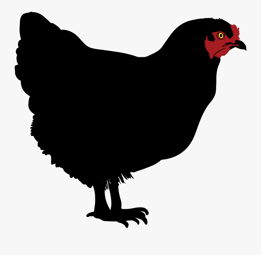 Silhouette Chicken At Getdrawings - My Brother's Peculiar Chicken, Transparent Clipart