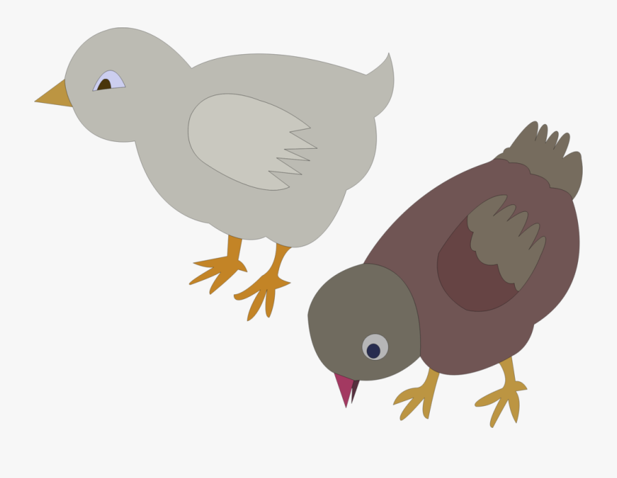  Gambar  Ayam  Jago Vector kulo Art