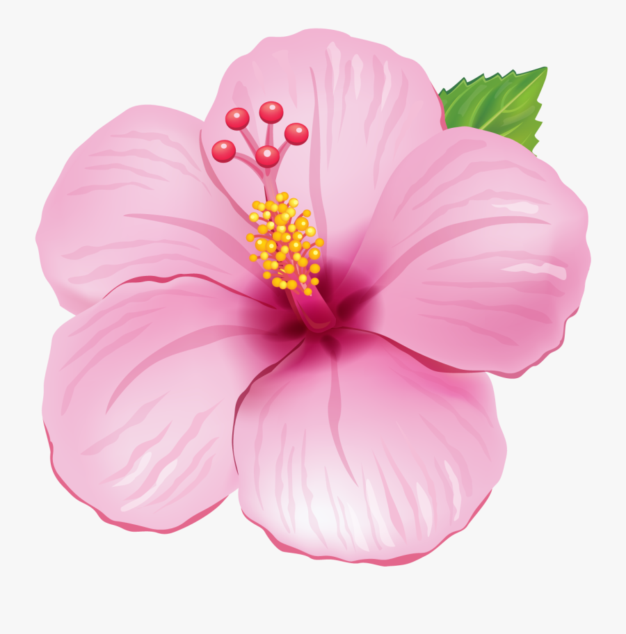 Pink Exotic Flower Png Clipart Picture - Moana Flower Png, Transparent Clipart