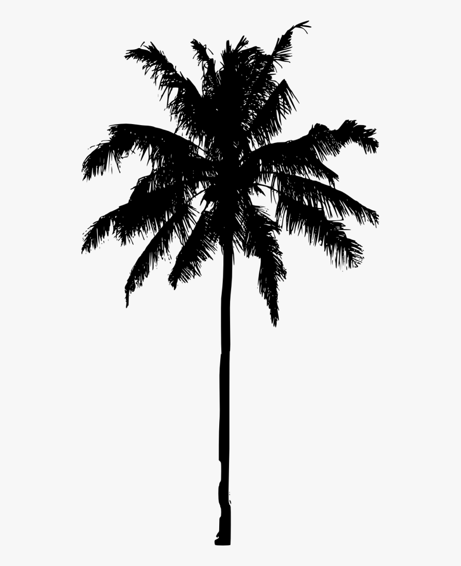 Clip Art Tree Silhouette Png - Palm Tree Silhouette Png, Transparent Clipart