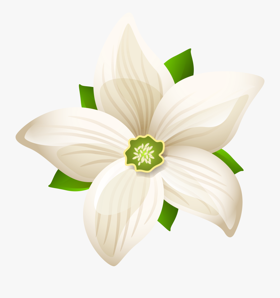 White Flower Clipart Flower Black White Md , Transparent, Transparent Clipart