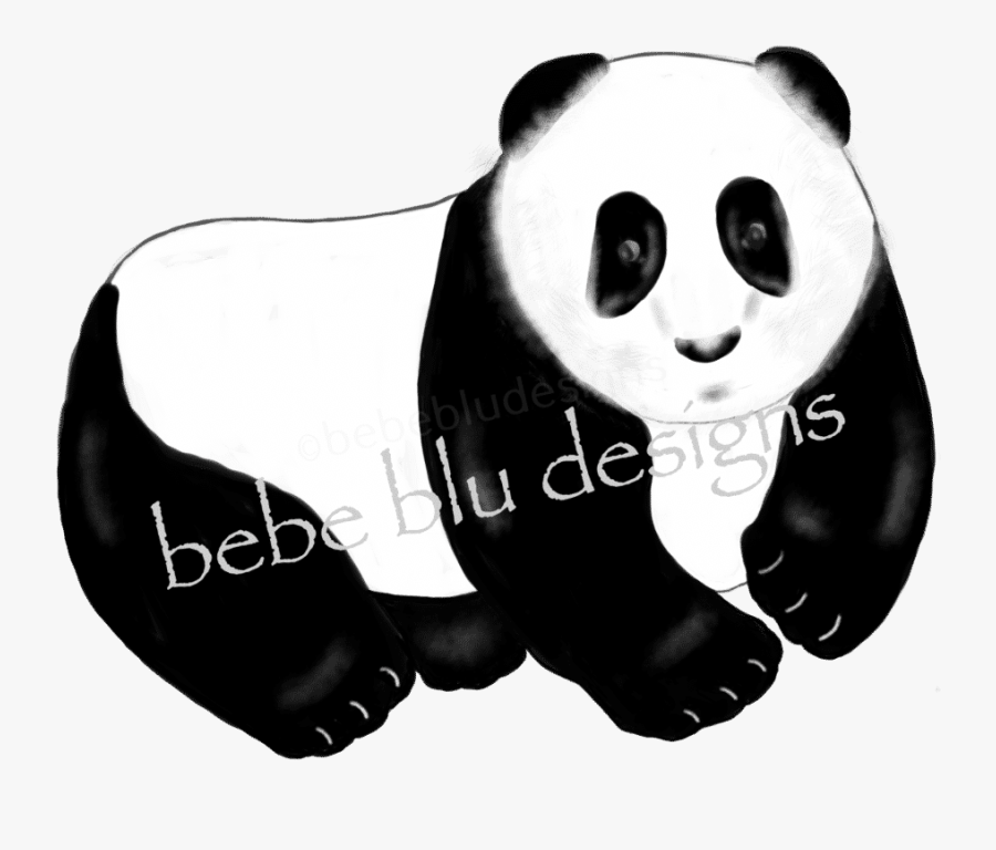 Panda Bear Clipart , Png Download - Cartoon, Transparent Clipart