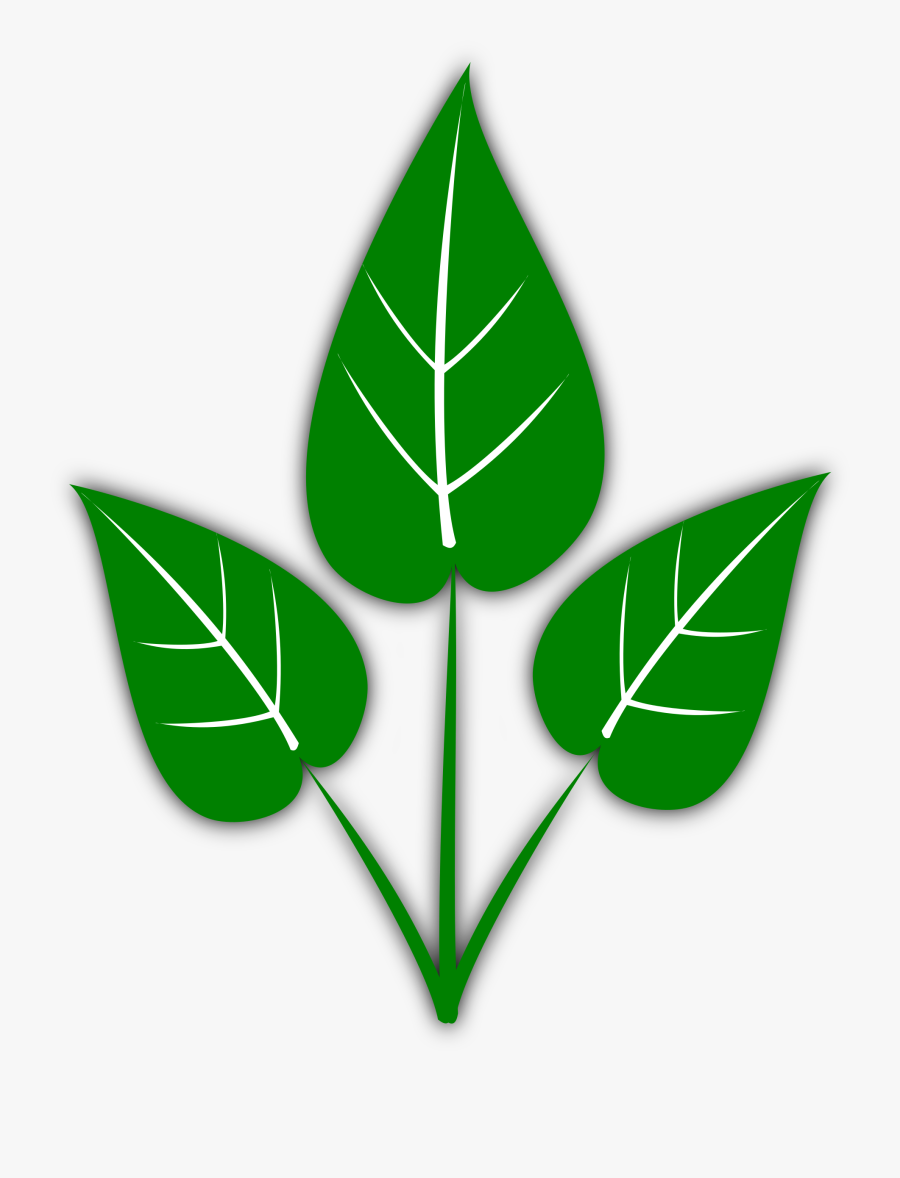 Leave - Clipart - Please Don T Water The Plants, Transparent Clipart