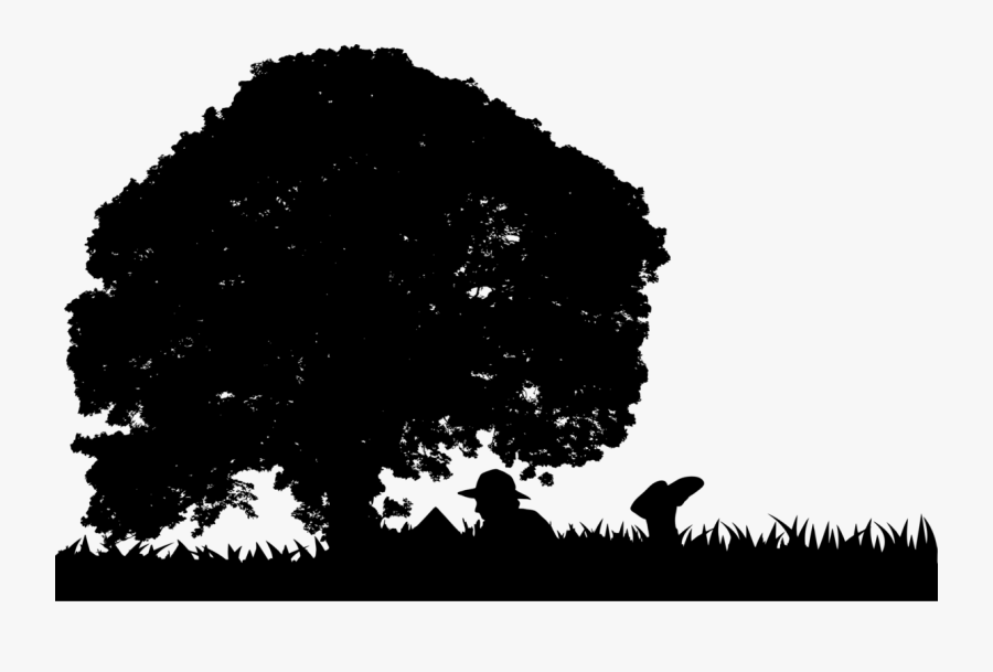 Man Reading Book Under Tree Silhouette - Silhouette Of Reading Under A Tree, Transparent Clipart