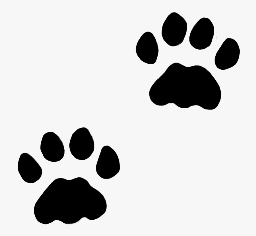 paw print with transparent background