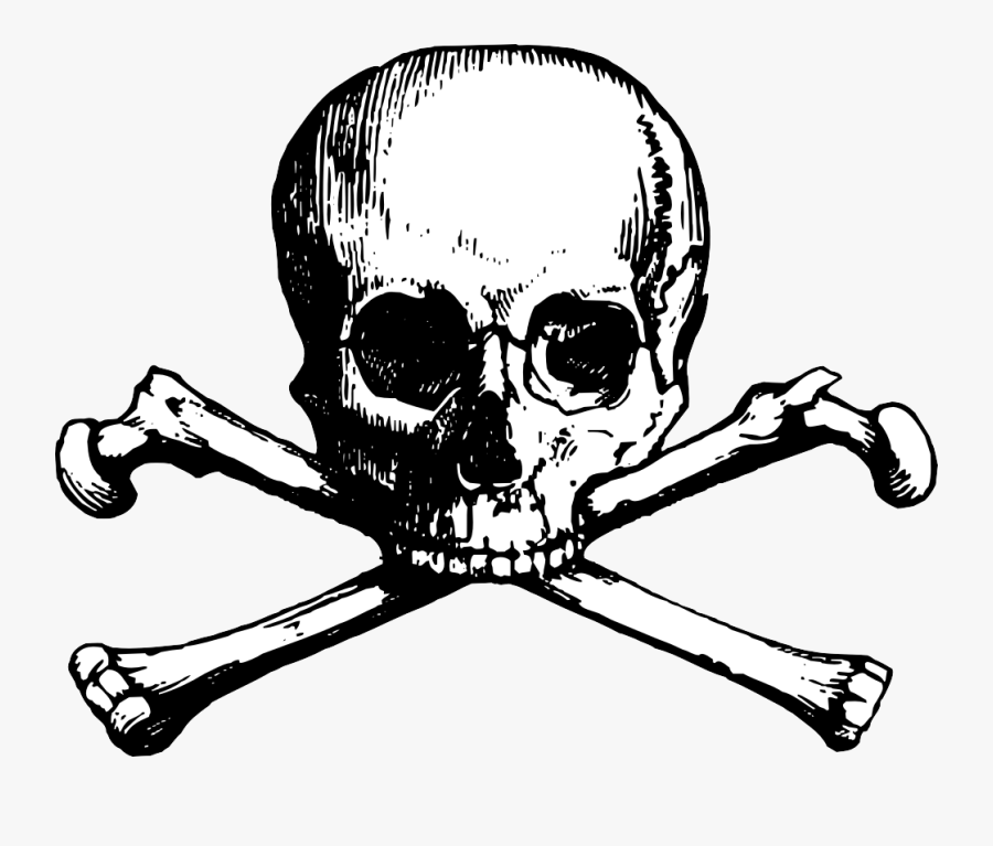 Free Skull Clipart - Skull N Bones Png, Transparent Clipart