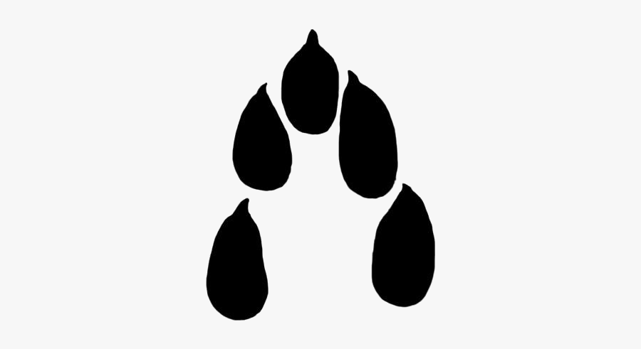 Hare Paw Print Clipart 30 Mm - Kangaroo Rat Paw Print, Transparent Clipart