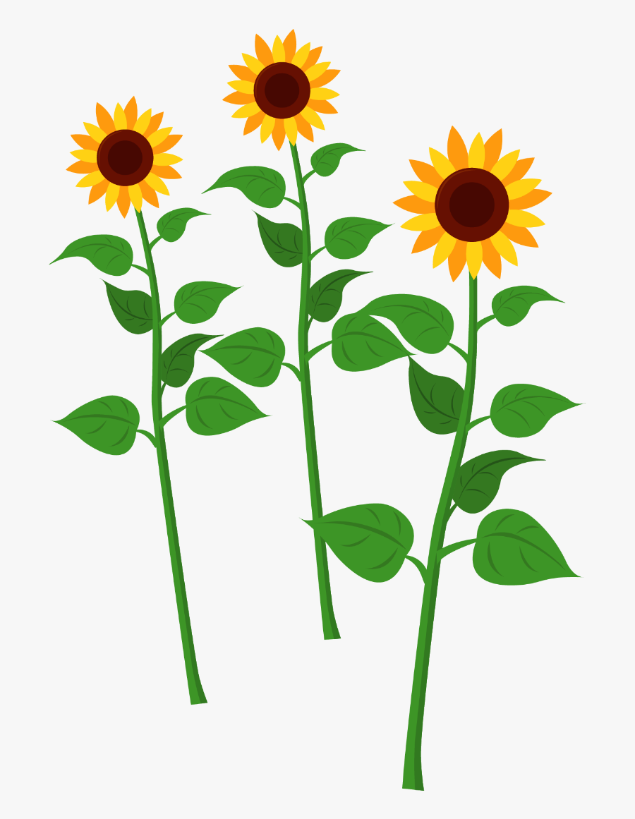 Common Sunflower Clipart , Png Download - Cartoon Image Of Plant, Transparent Clipart