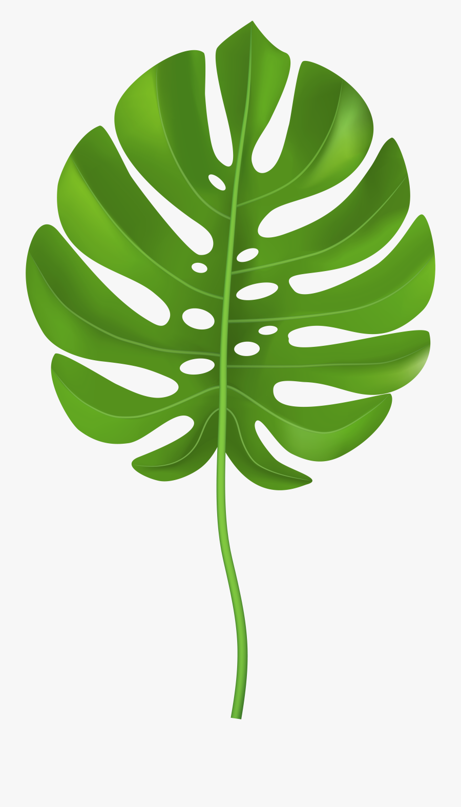 Clip Art Tropical Leaf Transparent Png, Transparent Clipart