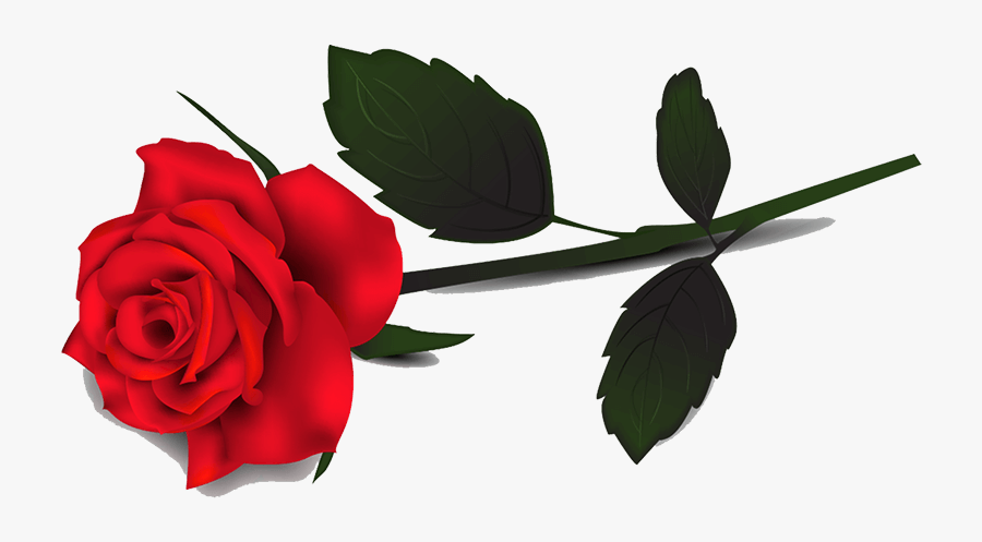 Transparent Background Rose Clipart, Transparent Clipart