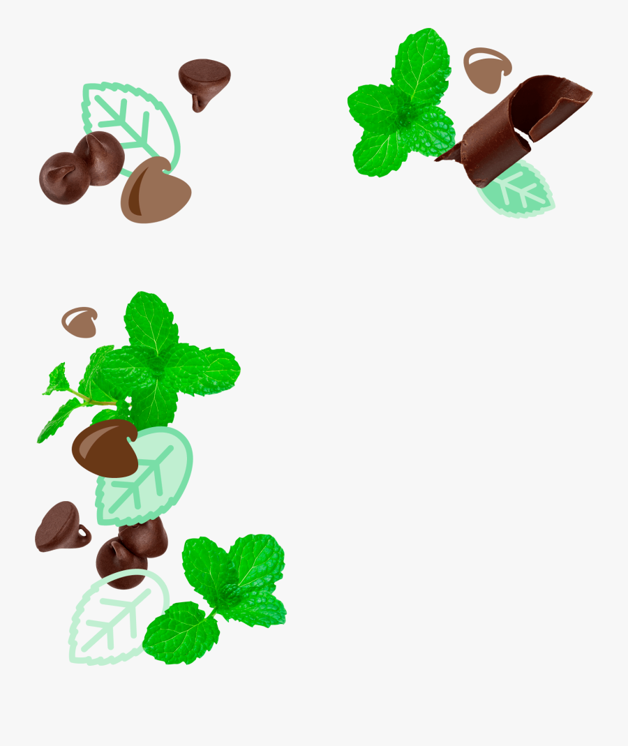 Mint Chocolate Chip Mochi Ice Cream - Kawaii Cute Mint Chocolate Chip Ice Cream, Transparent Clipart