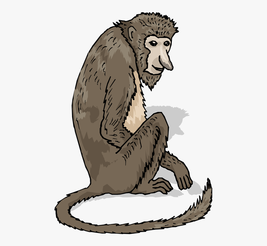 Baboon, Transparent Clipart