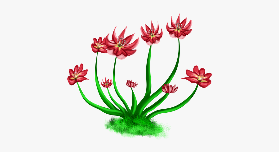 Flowers Red, Red Flower, Nature, Bushes, River, Levee - Barberton Daisy, Transparent Clipart