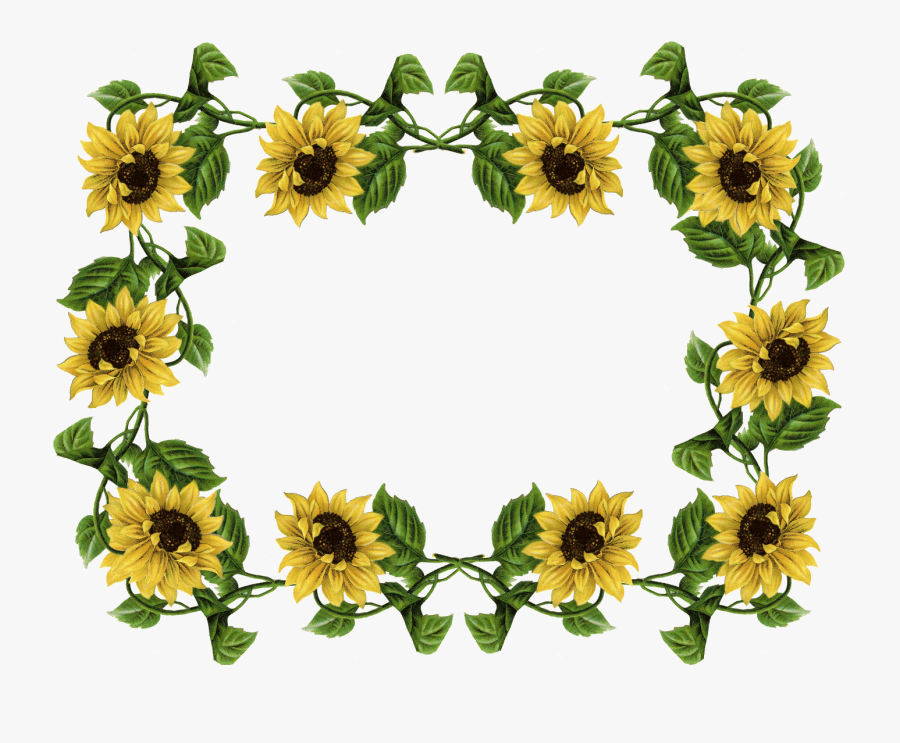 Sunflower Clipart Border - Sunflower Border Clipart, Transparent Clipart