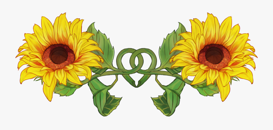 A Sheith Zine 💫 On Twitter - Sunflower Drawing, Transparent Clipart