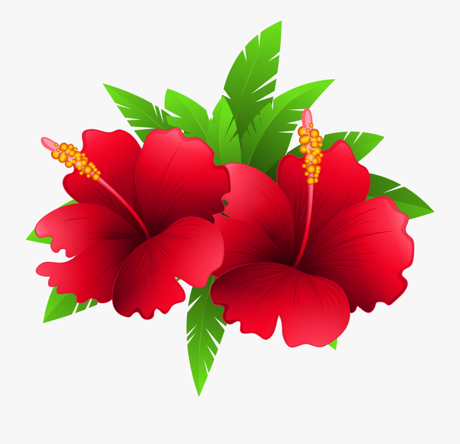 Exotic Flowers And Plant Png Clipart Image - Good Morning Image Wednesday, Transparent Clipart