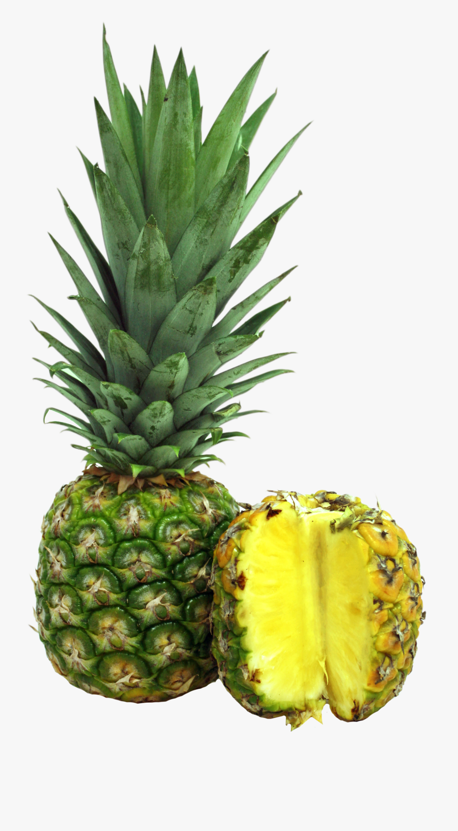 Mengikut Sejarah, Christopher Columbus, Penjelajah - Jenis Nanas Di Malaysia, Transparent Clipart