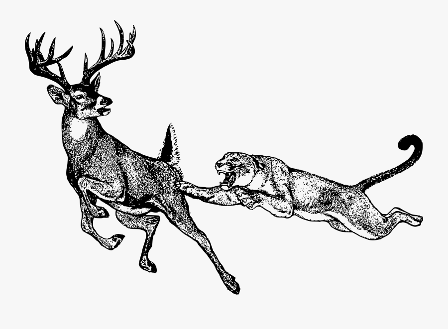 Mountain Lion Clipart Black And White, Transparent Clipart