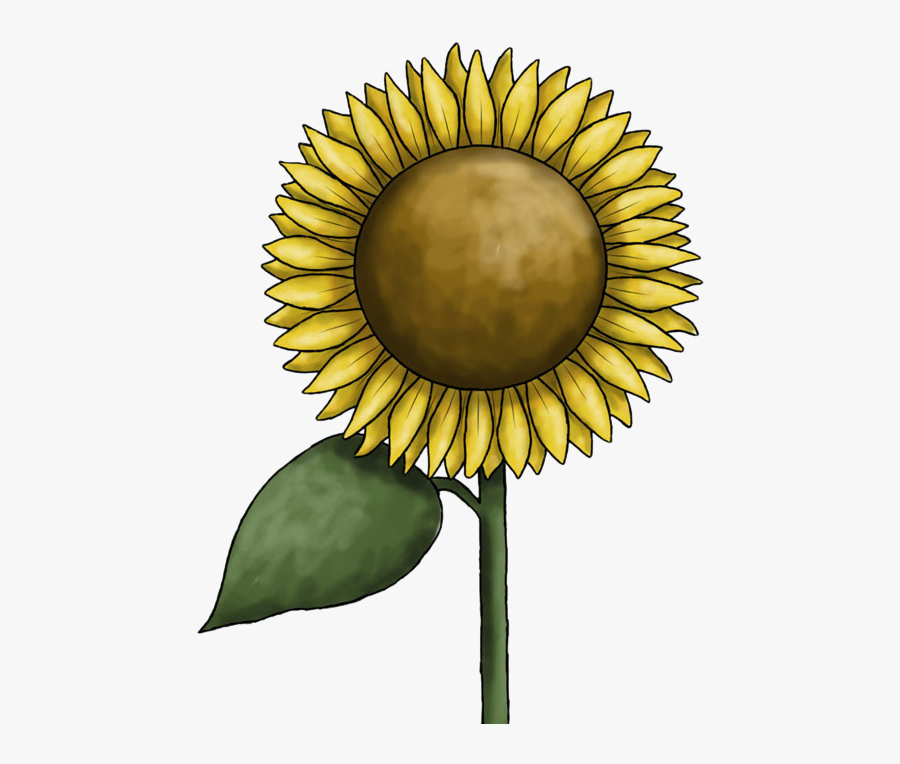 Sunflower Clipart Free Images - Clip Art, Transparent Clipart