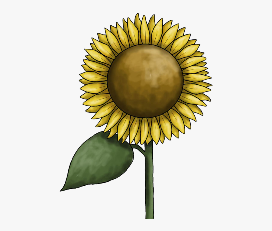 Free Free 331 Clipart Sunflowers Images SVG PNG EPS DXF File