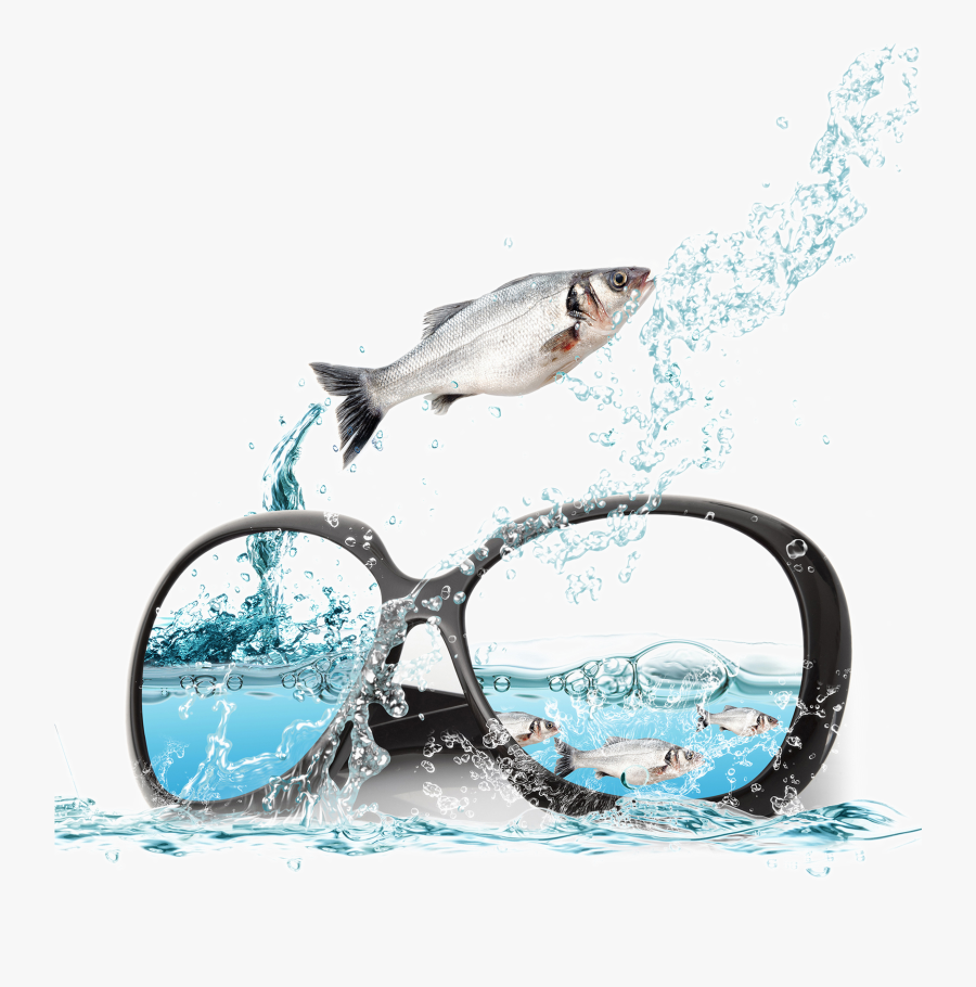 And Sunglasses Poster Fish Ocean Advertising In Clipart - Peces Para Publicidad, Transparent Clipart
