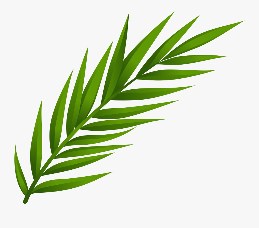 Leaves Clipart Png, Transparent Clipart