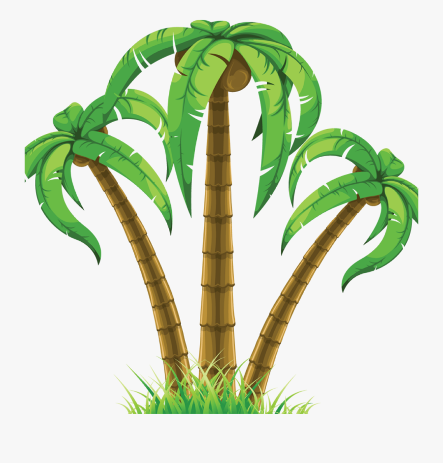 Palm Trees Clipart Png - Palm Tree Clipart Hd, Transparent Clipart