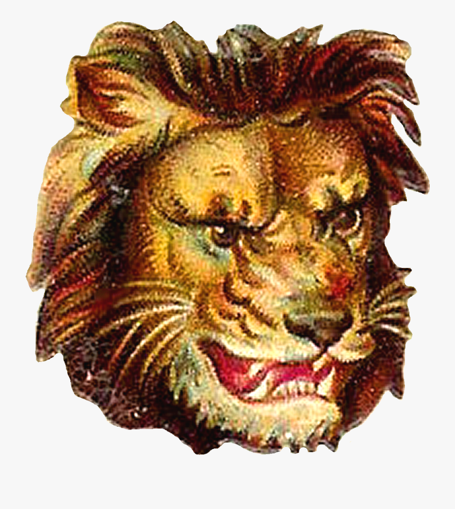 Lion Clipart Portrait - Masai Lion, Transparent Clipart